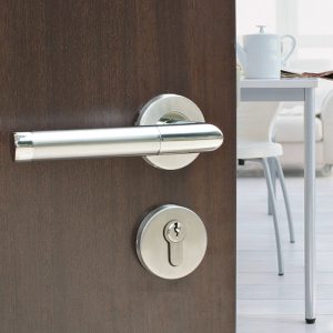 Door Handle Interior