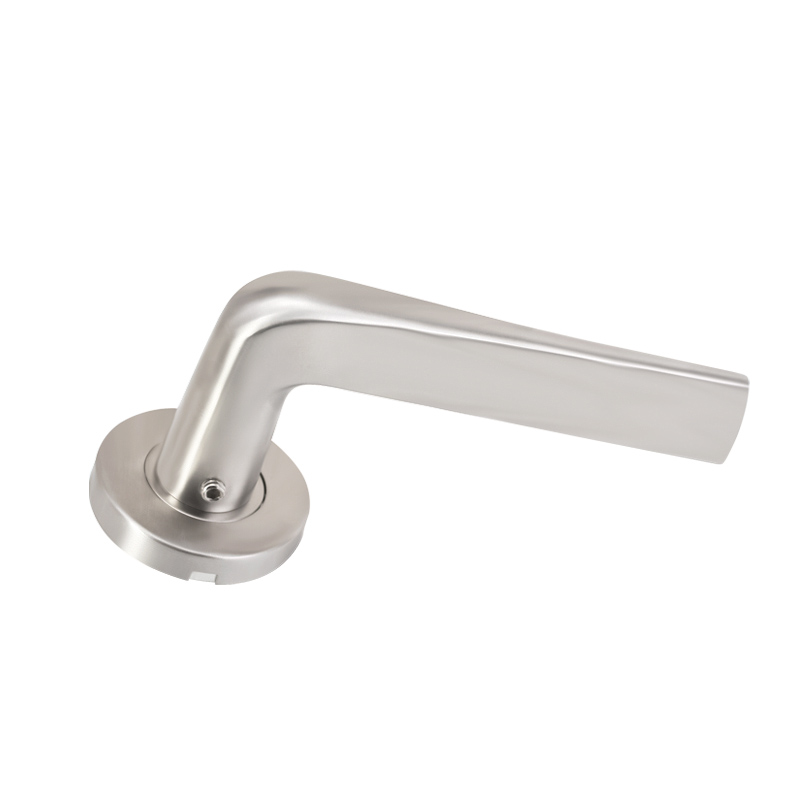 Apartment Door Handle